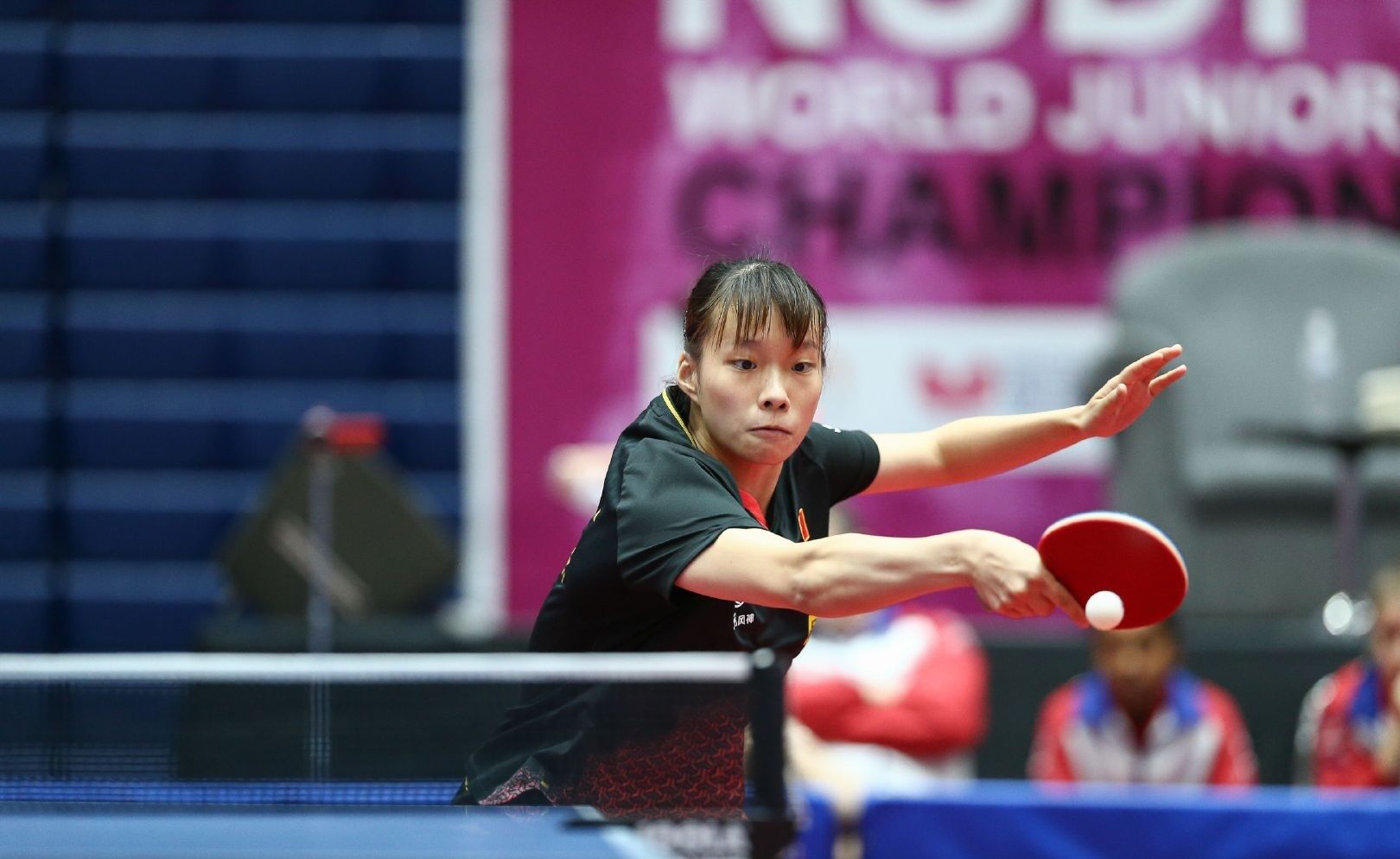 逆的规律 逆的规律